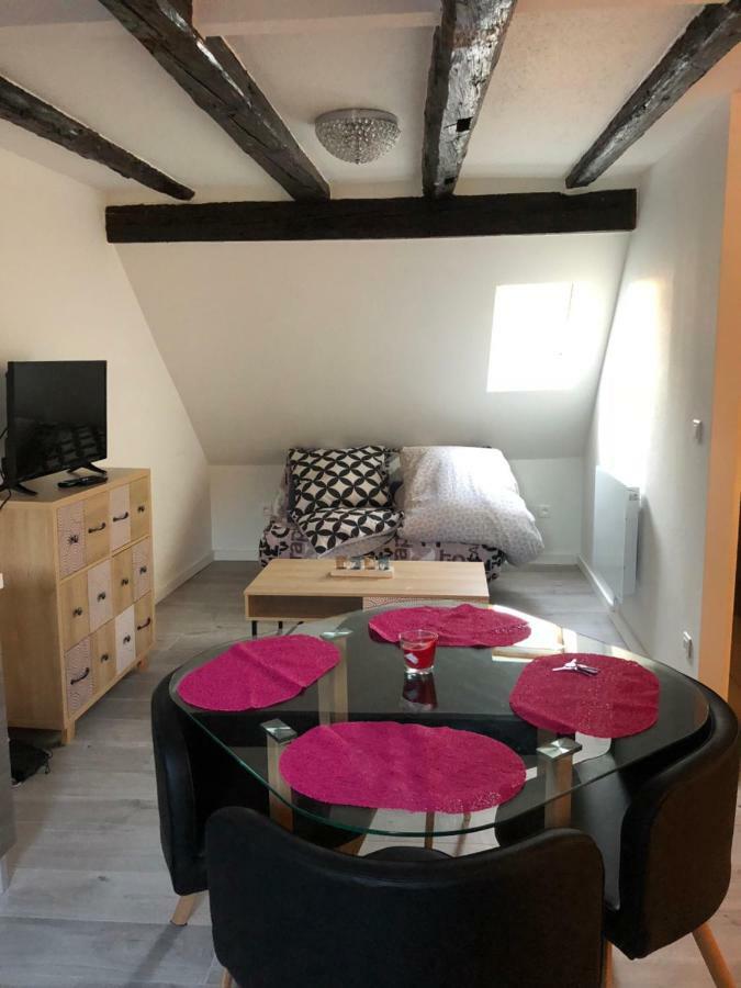 Duplex Hyper Centre Colmar 아파트 외부 사진